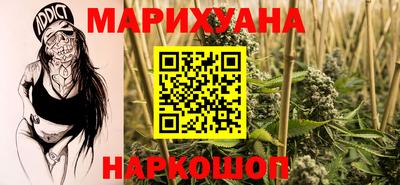 шишки Новодвинск