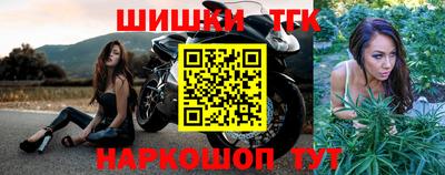 шишки Новодвинск