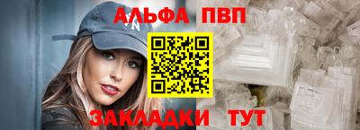 шишки Новодвинск